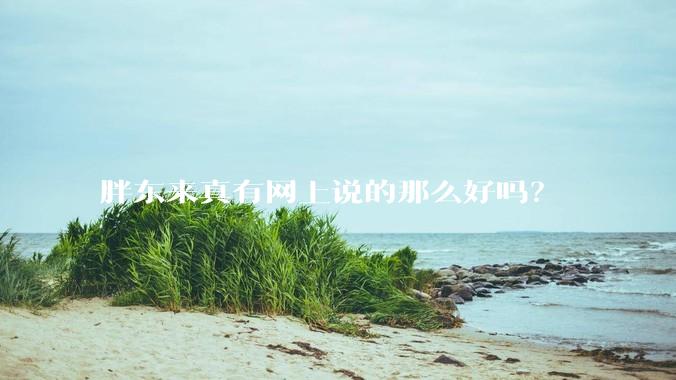 胖东来真有网上说的那么好吗？