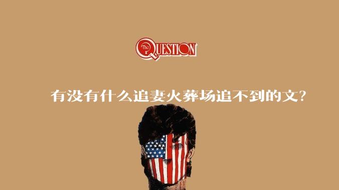 有没有什么追妻火葬场追不到的文？