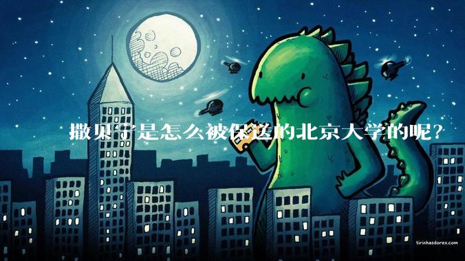 撒贝宁是怎么被保送的北京大学的呢？