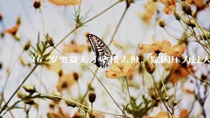 16 岁奥赛天才坠楼去世，疑因压力过大，父母该从哪些方面关注孩子心理健康？可以怎样引导孩子释放压力？