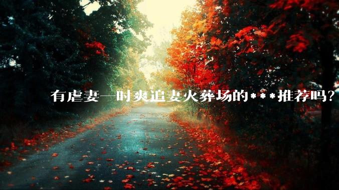 有虐妻一时爽追妻火葬场的***推荐吗？