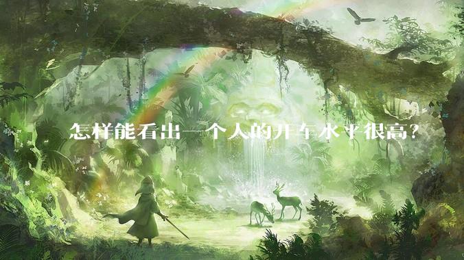 怎样能看出一个人的开车水平很高？