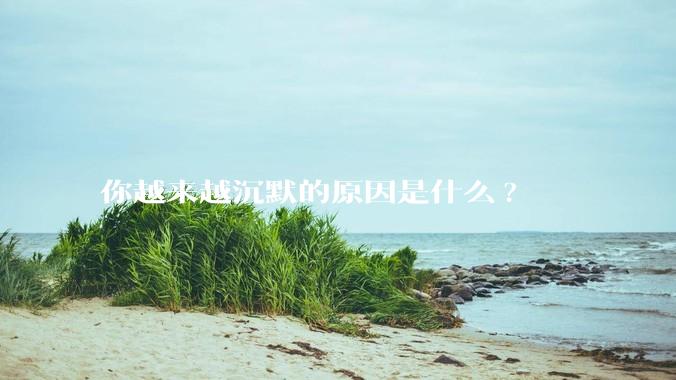 你越来越沉默的原因是什么?