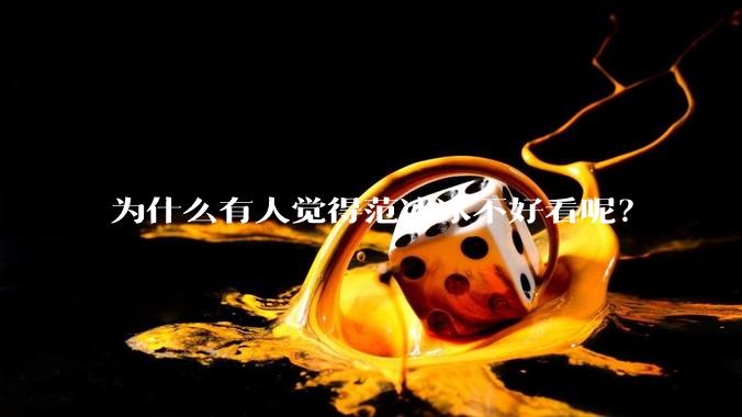 为什么有人觉得范冰冰不好看呢？